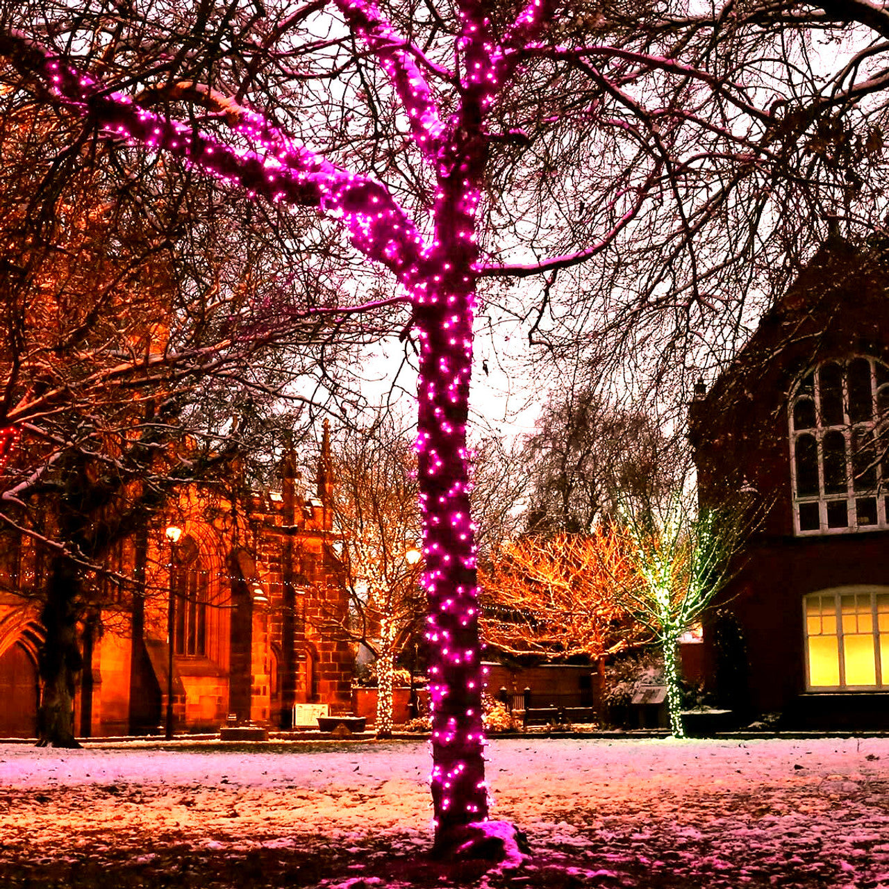 Pink String Fairy Light (Clear Wire)