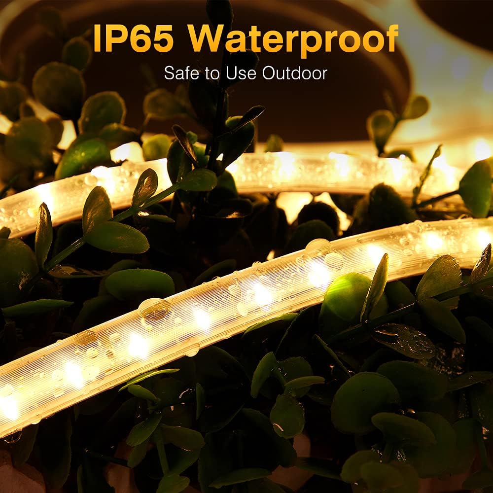 Warm White Flat Rope LED Light (50M)