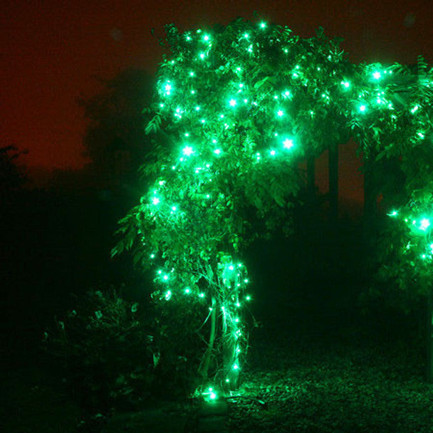 Green String Fairy Light (Clear Wire)