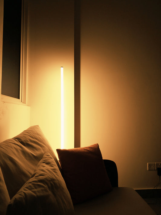 Minimalist LED Floor Lamp
