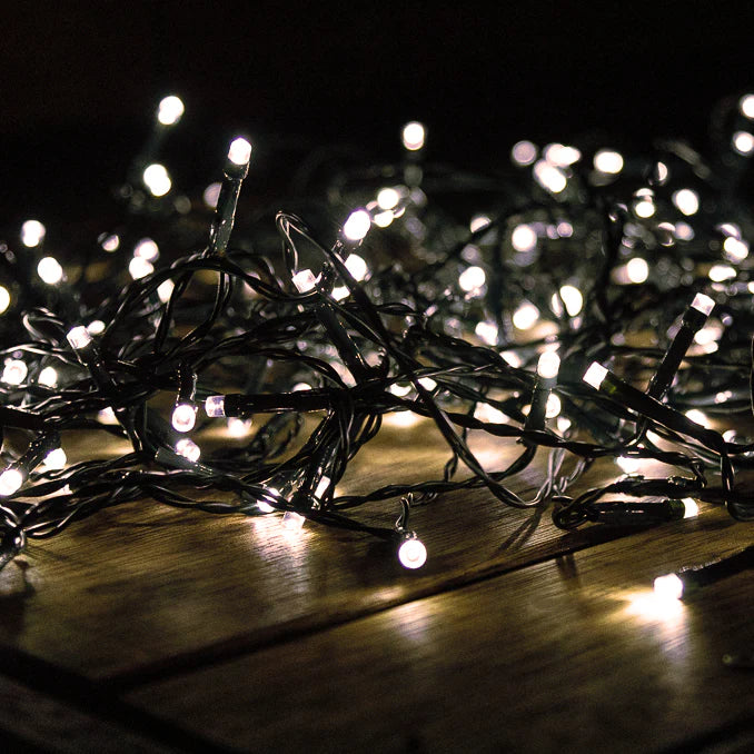 Warm White String Fairy Light (Black Wire)